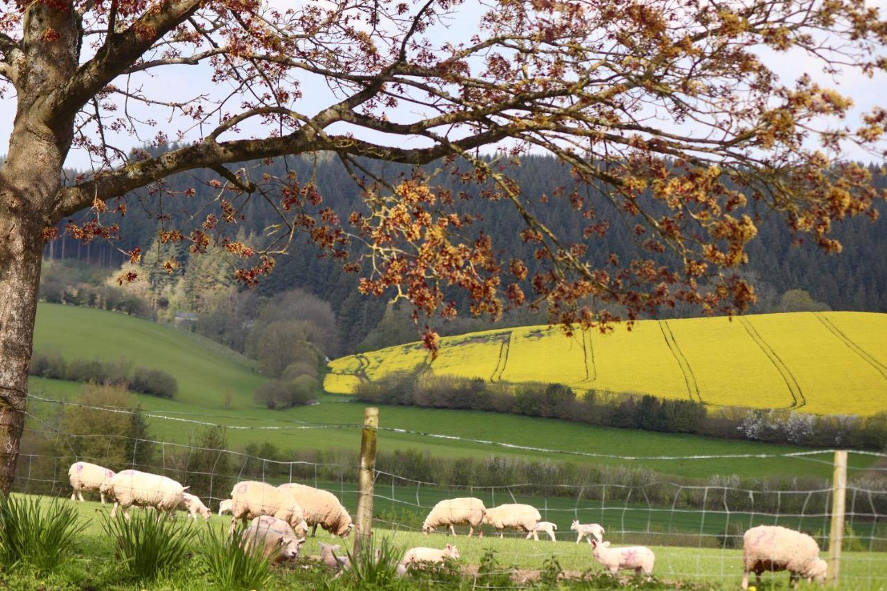 Cosy Without Hot Tub - Greenway Farm, Drybrook, Forest Of Dean *