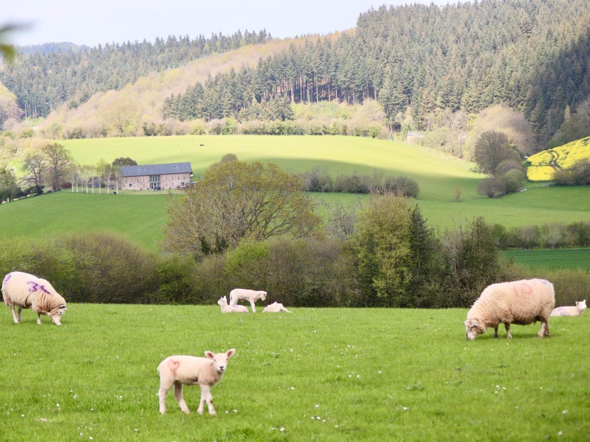 Cosy Without Hot Tub - Greenway Farm, Drybrook, Forest Of Dean Holiday home