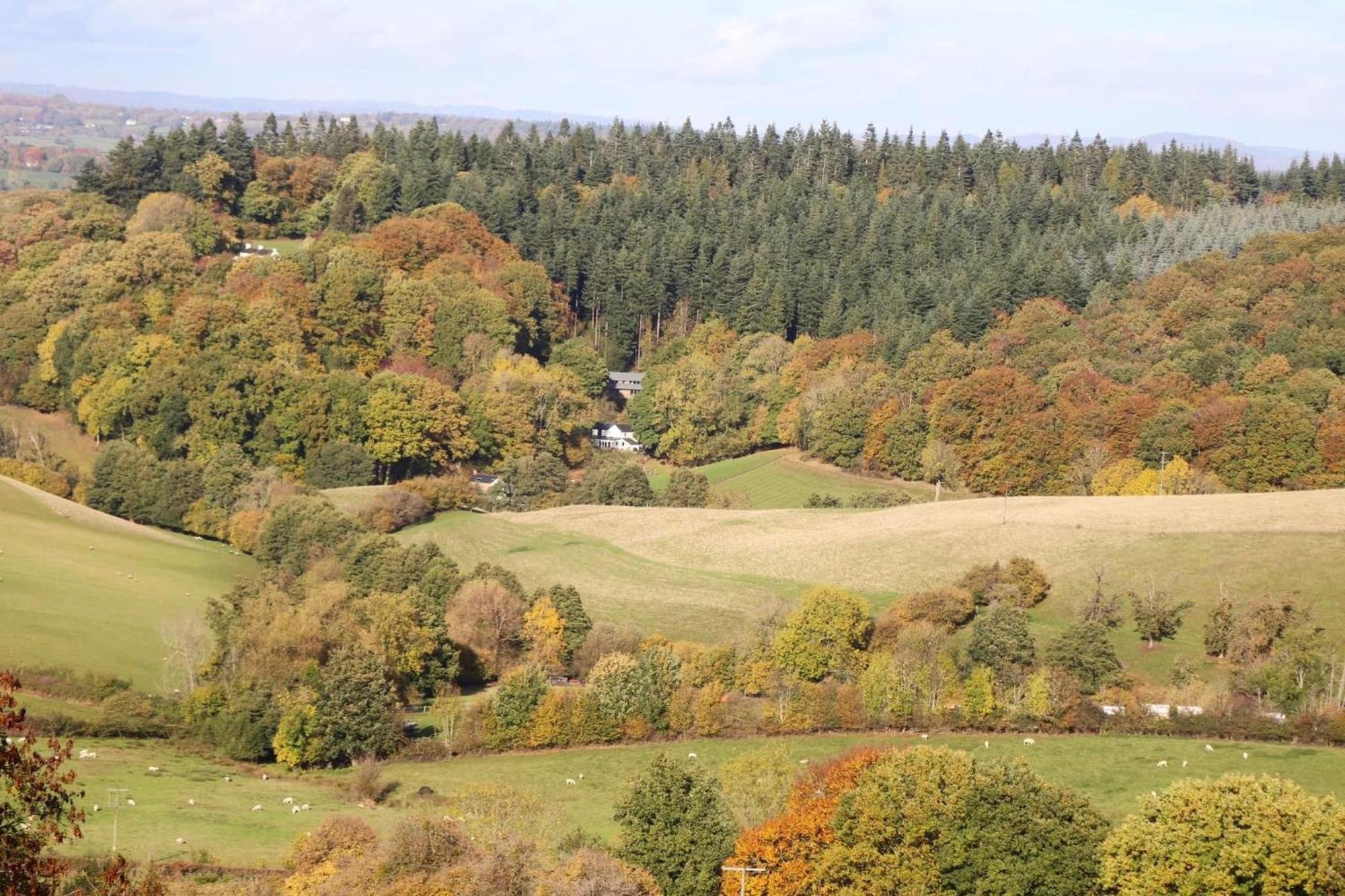 Cosy Without Hot Tub - Greenway Farm, Drybrook, Forest Of Dean * Drybrook